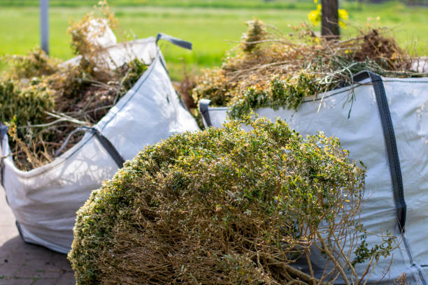 Best Shed Removal  in East Newark, NJ